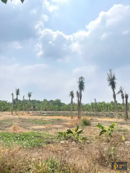 Bán đất nhà vườn nghỉ dưỡng Sông Trầu