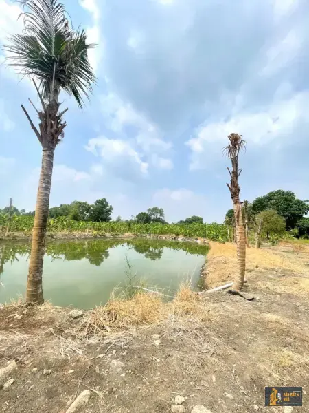 Bán đất nhà vườn nghỉ dưỡng Sông Trầu