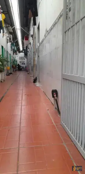 Bán dãy trọ mặt tiền đường D11