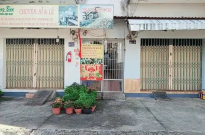 Bán dãy trọ mặt tiền đường D11